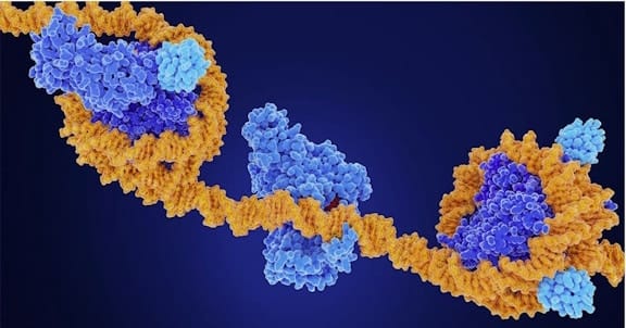 Featured image for “UC San Diego Researchers Find Evidence of Accelerated Aging in Children with Multiple Sclerosis”