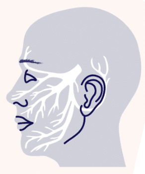 Featured image for “Trigeminal neuralgia and MS”